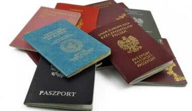 закон, упрощающий получение гражданства РФ