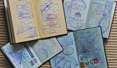 Паспорта со штампами таможни