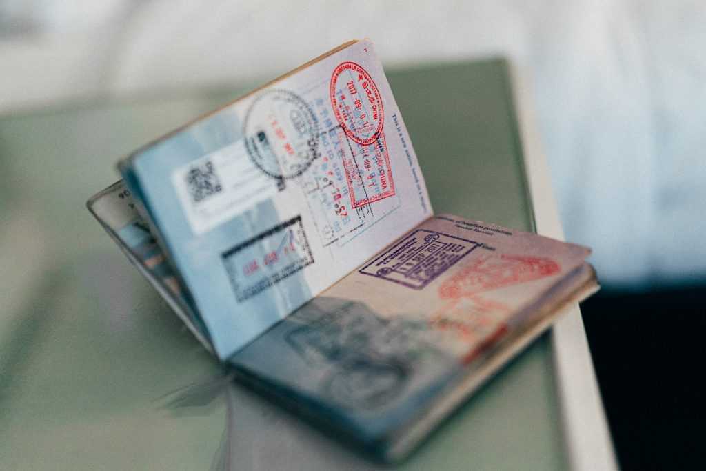 украинский паспорт в росси